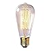 60 Watt Marconi Squirrel Cage Filament Bulb - 1910 Edison Style