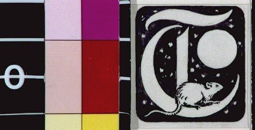 Photo: Initial letter T with rat,Frederic Dorr Steele,1909?,Animal,Rodent
