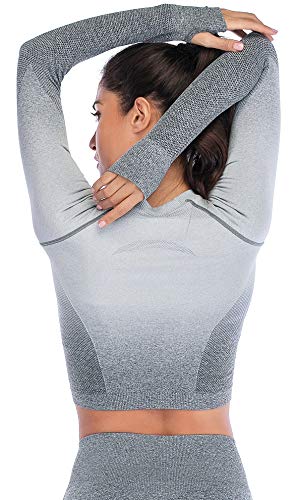 image for RUNNING GIRL Ombre Seamless Crop Top Long Sleeve Layer Crew Neck Power