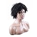 Befunny Curly Wigs for Black Women Short Jerry Kinky Afro Human Hair Wigs For Women Soft Fluffy None Lace Black Hair Wigs (1B#)