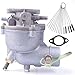 Dosens 390323 Carburetor Replacement for Briggs & Stratton 394228 398170 7HP 8HP 9HP Engine Lawn Mower Carb with Gasket & Carbon Dirt Jet Cleaner Tool