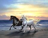 DIY 5D Diamond Painting Kits for Adults Full Drill Embroidery Paintings Rhinestone Pasted DIY Painting Cross Stitch Arts Crafts for Home Wall Decor 30x40cm/11.8×15.7Inches (Horse)