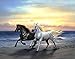 DIY 5D Diamond Painting Kits for Adults Full Drill Embroidery Paintings Rhinestone Pasted DIY Painting Cross Stitch Arts Crafts for Home Wall Decor 30x40cm/11.8×15.7Inches (Horse)