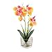 Dynabit Small Handmade Silk Artificial Flower Arrangements with Vase,Vivid Phalaenopsis Orchid Bonsai,Orange