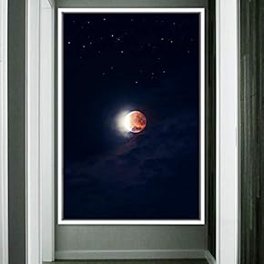 signwin Framed Canvas Wall Art Moon Astronomy &...