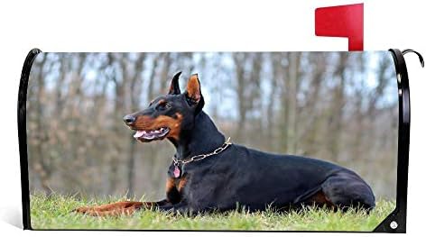 doberman puppies for sale trading post