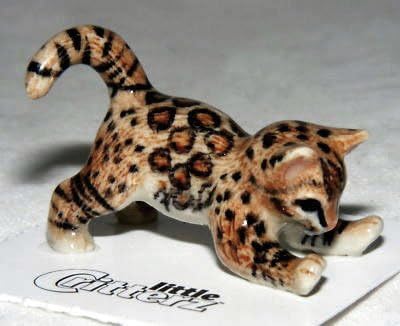 LittleCritterz"Simba"Bengal