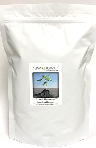 Thor's Hammer Superfood Powder (Bulk Kilo Bag, 1000g, Pure chlorella/spirulina Drink Mix)