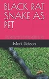 BLACK RAT SNAKE AS PET: The Complete Guide On How