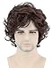 Topcosplay Mens Wigs Short Brown Curly Fluffy Cosplay Halloween Character Costume Wig Layered (Dark Brown)