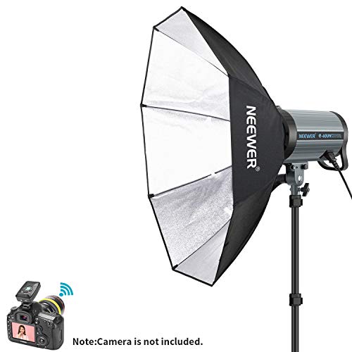 Neewer 800W Studio Strobe Flash Photography Lighting Kit(2) 400W