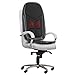 Gideon Shiatsu Massage Seat Cushion with Heat Deep Kneading Back Massager for Car, Home or Office