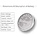 Beidongli CR2032 Battery 3V Lithium Battery Coin Button Cell (CR2032-8PACK)