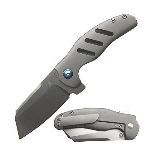Kizer cutlery pocket knives flipper knife frame lock fo…