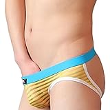 Toyofmine Gay very hot translucent Underpants Mens Boxer Briefs Shorts Bulge Jockstrap (M, yellow)
