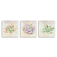 3Piece Canvas Wall Art - Succulent Plant - Canvas Prints Home Artwork Decoration for Living Room,Bedroom - 12