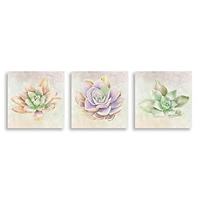 3Piece Canvas Wall Art - Succulent Plant - Canvas Prints Home Artwork Decoration for Living Room,Bedroom - 12"x12"x3 Panels