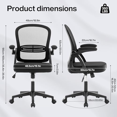 Fizzin Ergonomic Office Chair, Home Desk Chair, Adjustable Lumbar Support and Padded Seat, Breathable Mesh Computer Chair with Reversible Padded Armrests, Home Office Chair (Black)