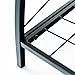 C-Hopetree Indoor or Outdoor Plant Stand, 2 Shelf Pot Rack with Black Metal Frame and Shelves
