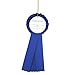 HAYES SPECIALTIES 1st Place Rosette Ribbon