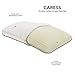 Classic Brands Caress Ventilated Plush Latex Foam Pillow with Velour Cover for Sleeping, King