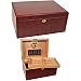 Bargain Humidors Clasico Rosa Rosewood Desktop Humidor for 100 Cigars primary