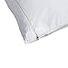 Protect-A-Bed, AllerZip Pillow Protector, Zippered, Waterproof, 2-pack, Queen Size