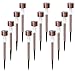 EcoCity 12-Pack Solar Lights Outdoor Garden Light Landscape / Pathway Lights Stainless Steel (Copper)