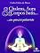Livro Chakras, aura e corpos sutis...: Em poucas palavras