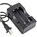 2PcsX 18650 2200mAh 3.7V Rechargeable Lithium Battery with 1Pc Li-ion Battery Charger