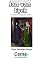 Livro Apresentando pinturas no display TFT de  Jan van Eyck  Com Raspberry Pi programado no Python
