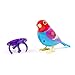 DigiBirds - Single Pack - Light Blue