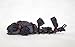 Kotobukiya ZOIDS Molga AA & Molga Carrier 1/72 Highend Master HMM Model Kit