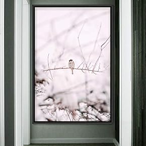 signwin Framed Canvas Wall Art Single Bird Birds...