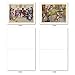 The Best Card Company - 10 Boxed Note Cards Blank (4 x 5.12 Inch) - Bulk Assorted Cards, Vintage Pictures - Vintage Cats Are People Too M6473OCB-NB