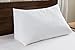 Web Linens Inc One - Wedge Pillow - 100% Cotton Shell - for Bed, Couch, Floor - Exclusively by Blowout Bedding RN# 142035