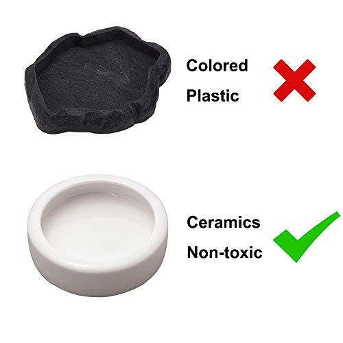 2 SciEdu+Feeding+Tweezers+Ceramic+Reptile