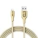 Anker Powerline+ Lightning Cable (6ft) Durable and Fast Charging Cable [Double Braided Nylon] for iPhone Xs/XS Max/XR/X / 8/8 Plus / 7/7 Plus / 6/6 Plus / 5s / iPad and More(Golden)