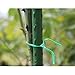 Ewer 2 Pack Twist Tie 197 Feet/Total 60m, Garden Plant Plastic Twine with Cutter Multi-Function Sturdy Tree Tie Cable for Gardening Home Officethumb 3