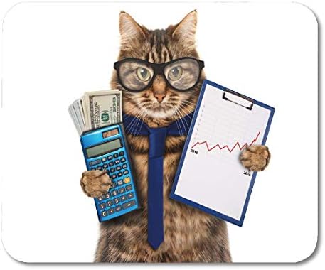 Mouse Pads Accountant Funny Cat Folder for Presentations Money in Hand Scene Calculator Mouse pad 9.8" x 11.8"