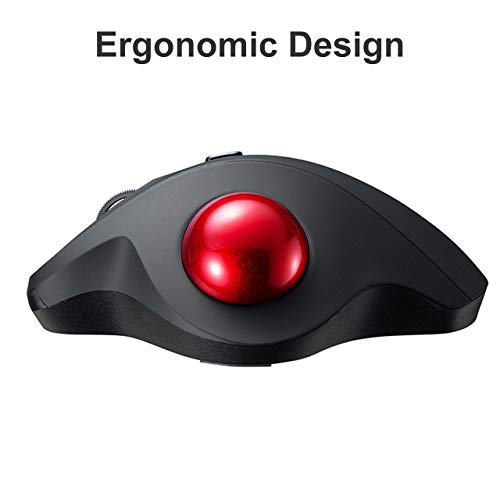 SANWA (Japan Brand) 2.4G Wireless Ergonomic Trackball Mouse, Silent