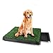 Homdox Dog Grass Pee Potty Grass Patch Potty Puppy Potty Training Grass