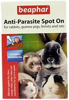 guinea pig flea spray