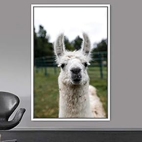 signwin Framed Canvas Wall Art Llama Animals Camels...