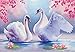 Diamond Painting Kits for Adults Full Drill,Handmade DIY 5D Paint with Diamonds by Number Kits,Diamond Art Home Decor Craft Perfect Gift, Swan,16X12 Inches