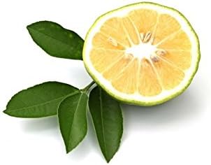 Bergamot (flavouring)