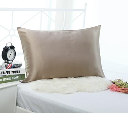 19mm 100% Premium Luxury Pure Mulberry Silk Pillowcase for Hair &amp; Facial Beauty Queen/Standard Size 20x30Inch Shams with Hidden Zipper ,1pc,19Momme (Taupe)