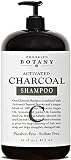 Brooklyn Botany Activated Charcoal Shampoo 16 fl oz - Sulfate Free - Volumizing & Moisturizing, Gentle on Curly & Color Treated Hair, Daily Use for Men & Women - Infused with Keratin