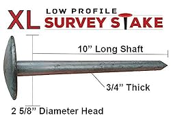 Low Profile XL 10" Survey Markers - 2 Pack - Plain