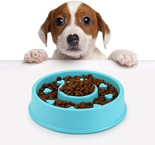 AceLove Slow Feed Pet Bowl, Fun Interactive Feeder Slow Feed Food &amp; Water Bowl for Dog Cat, Anti Choking, Prevent Bloating bowl with Non-slip Block